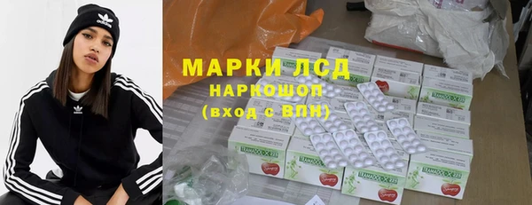 a pvp Новозыбков