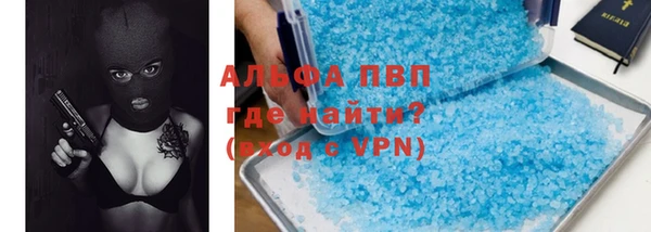 a pvp Новозыбков