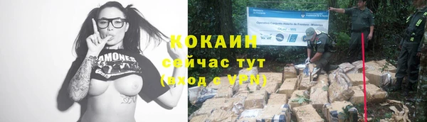 ешки Новокубанск
