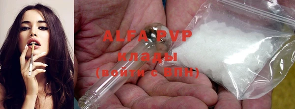 a pvp Новозыбков