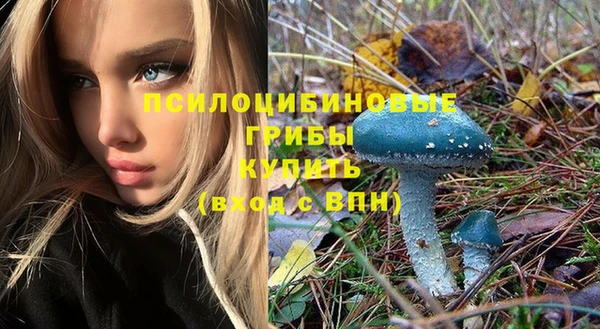 ешки Новокубанск