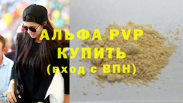 a pvp Новозыбков
