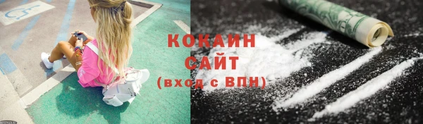 a pvp Новозыбков