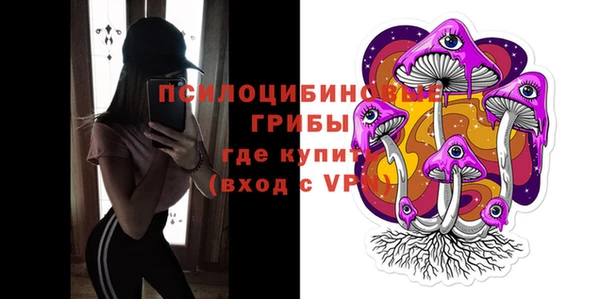 a pvp Новозыбков