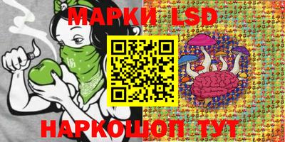 амф Гай
