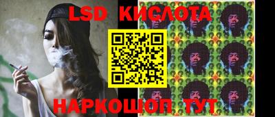ПСИЛОЦИБИНОВЫЕ ГРИБЫ Гатчина
