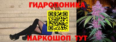ПСИЛОЦИБИНОВЫЕ ГРИБЫ Гатчина