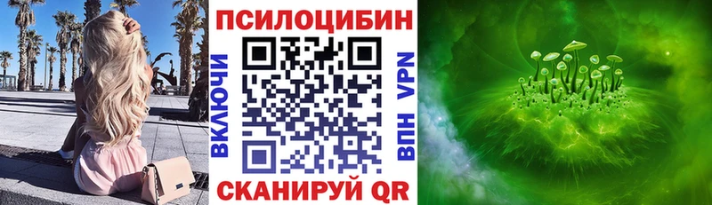 дарнет шоп  Кимовск  Галлюциногенные грибы GOLDEN TEACHER 