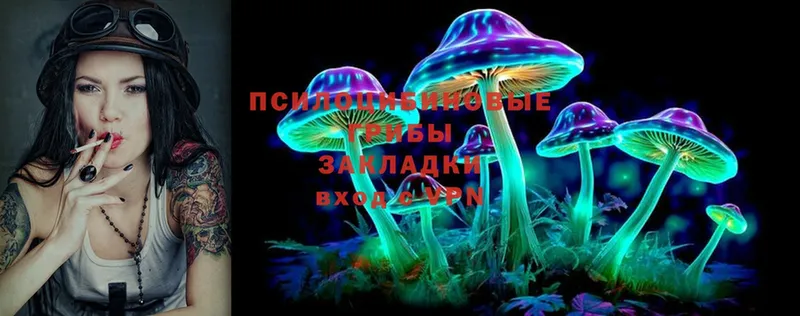 Псилоцибиновые грибы Psilocybine cubensis  Кимовск 