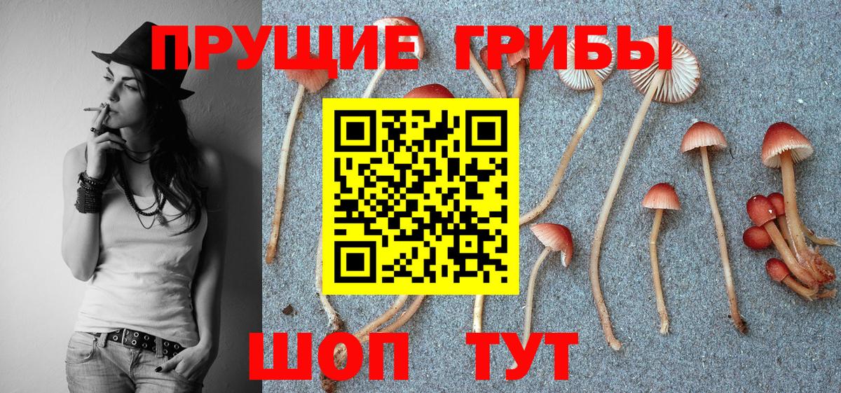 Кимовск  Галлюциногенные грибы GOLDEN TEACHER  магазин продажи наркотиков  Вход с VPN 